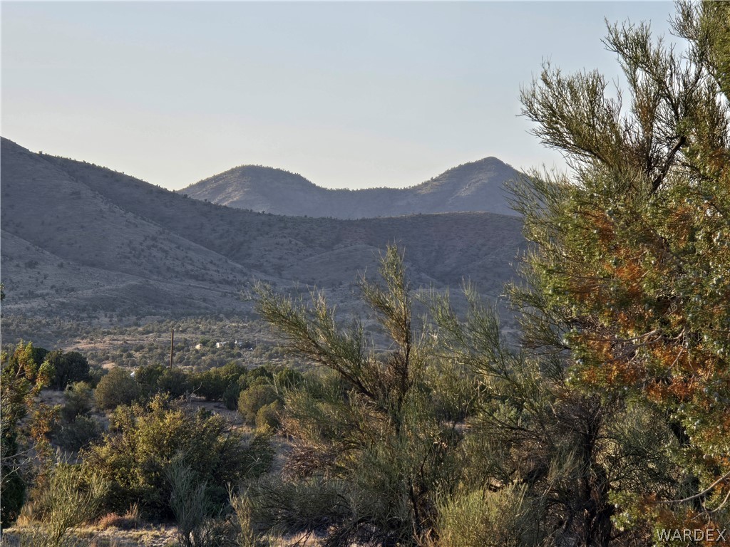 0 North Rease Road Kingman, AZ 86401 - Photo 6 of 50
