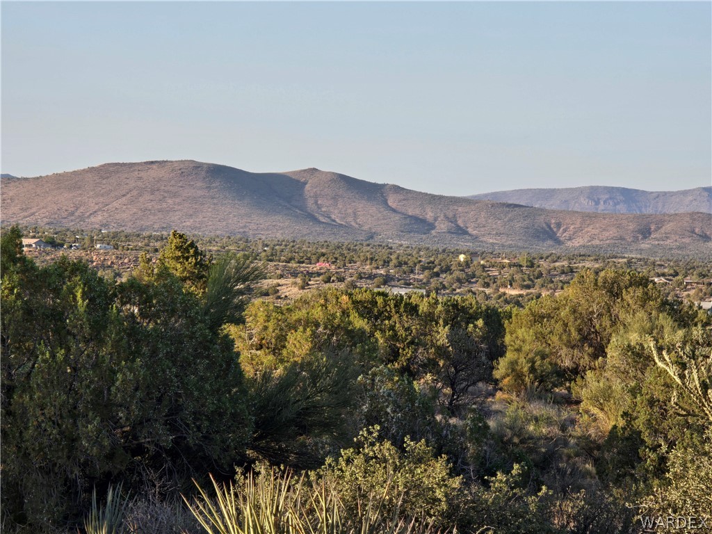0 North Rease Road Kingman, AZ 86401 - Photo 7 of 50