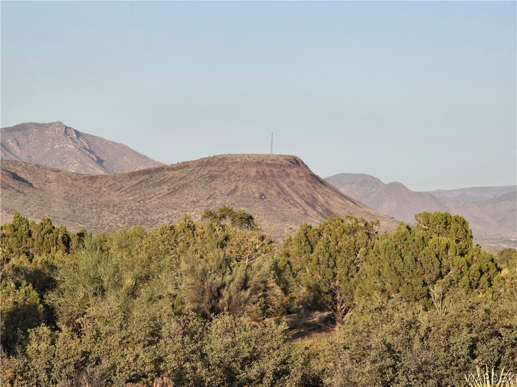 0 North Rease Road Kingman, AZ 86401 - Photo 9 of 50