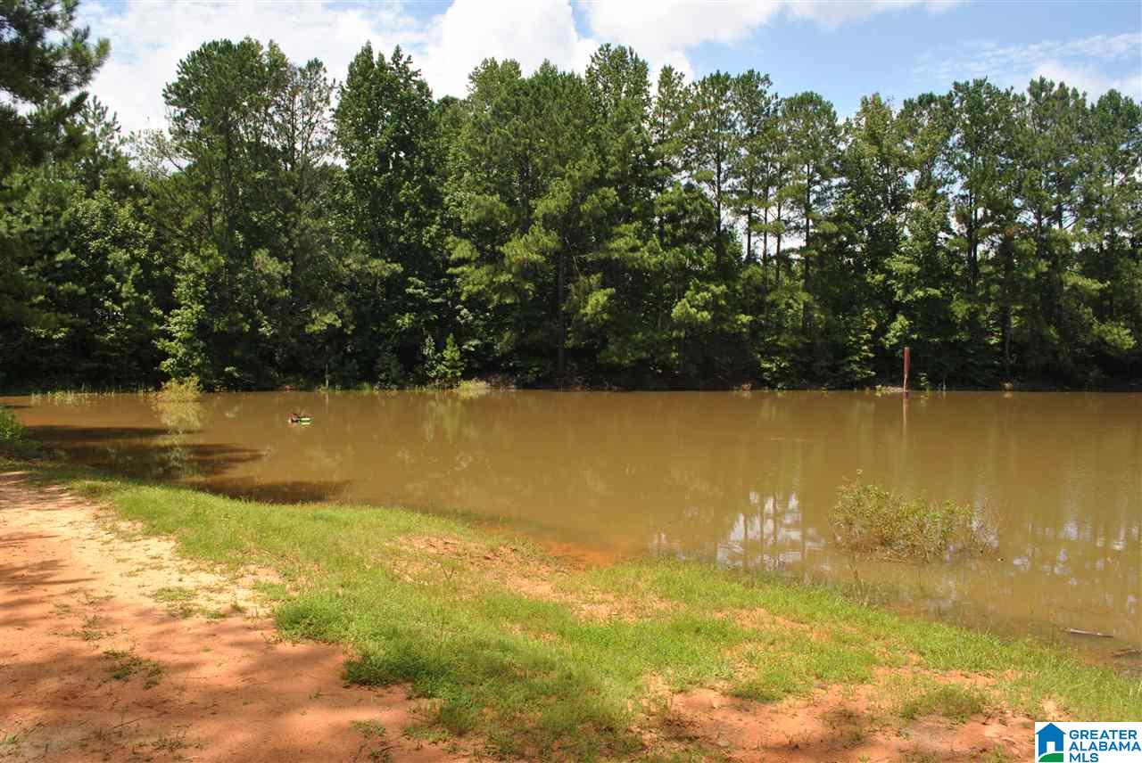 452 Turtleneck Road Alexander City, AL 35010 - Photo 27 of 29