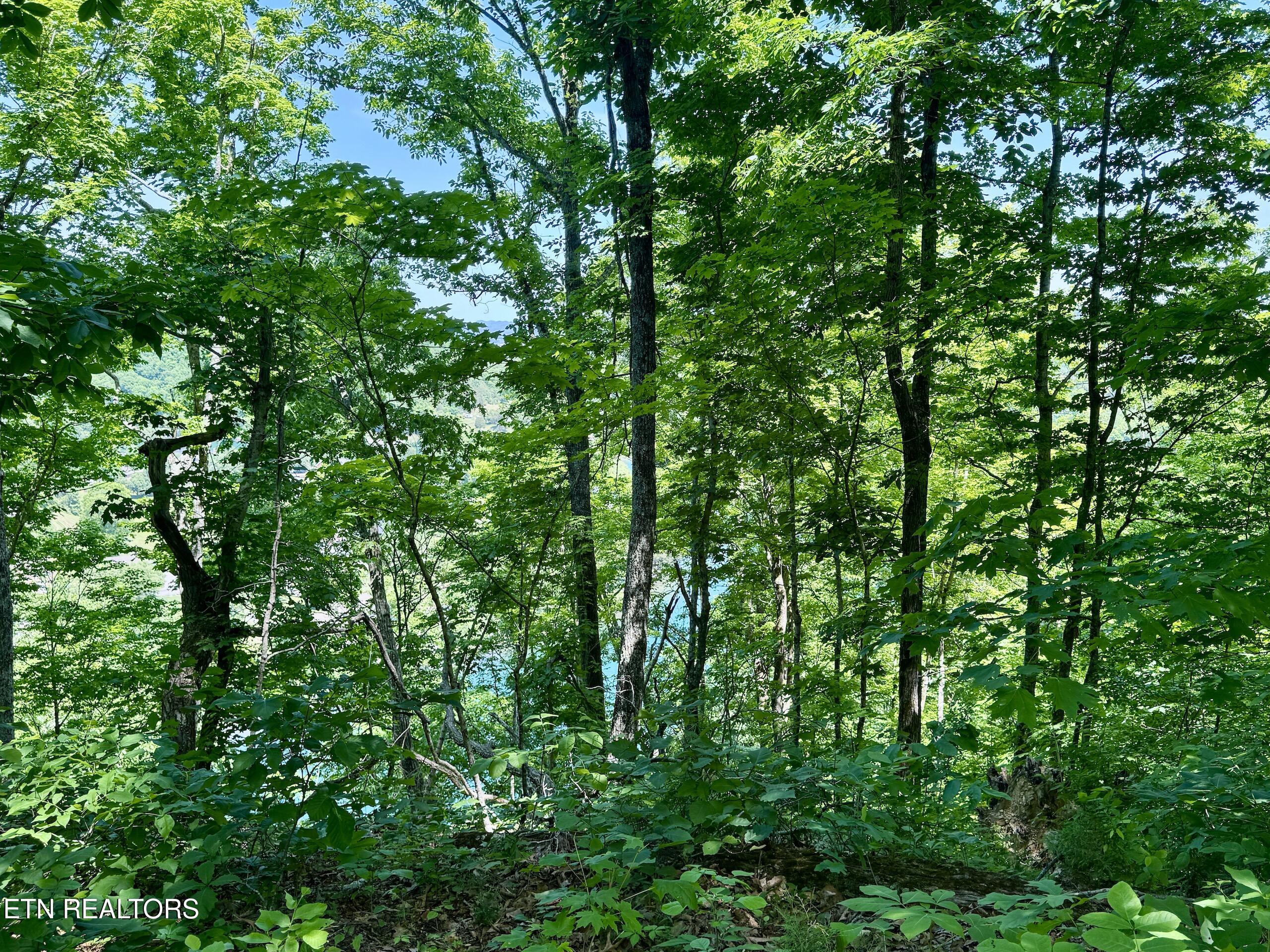 Ridgeview Drive Clinton, TN 37716 - Photo 12 of 15 2-12