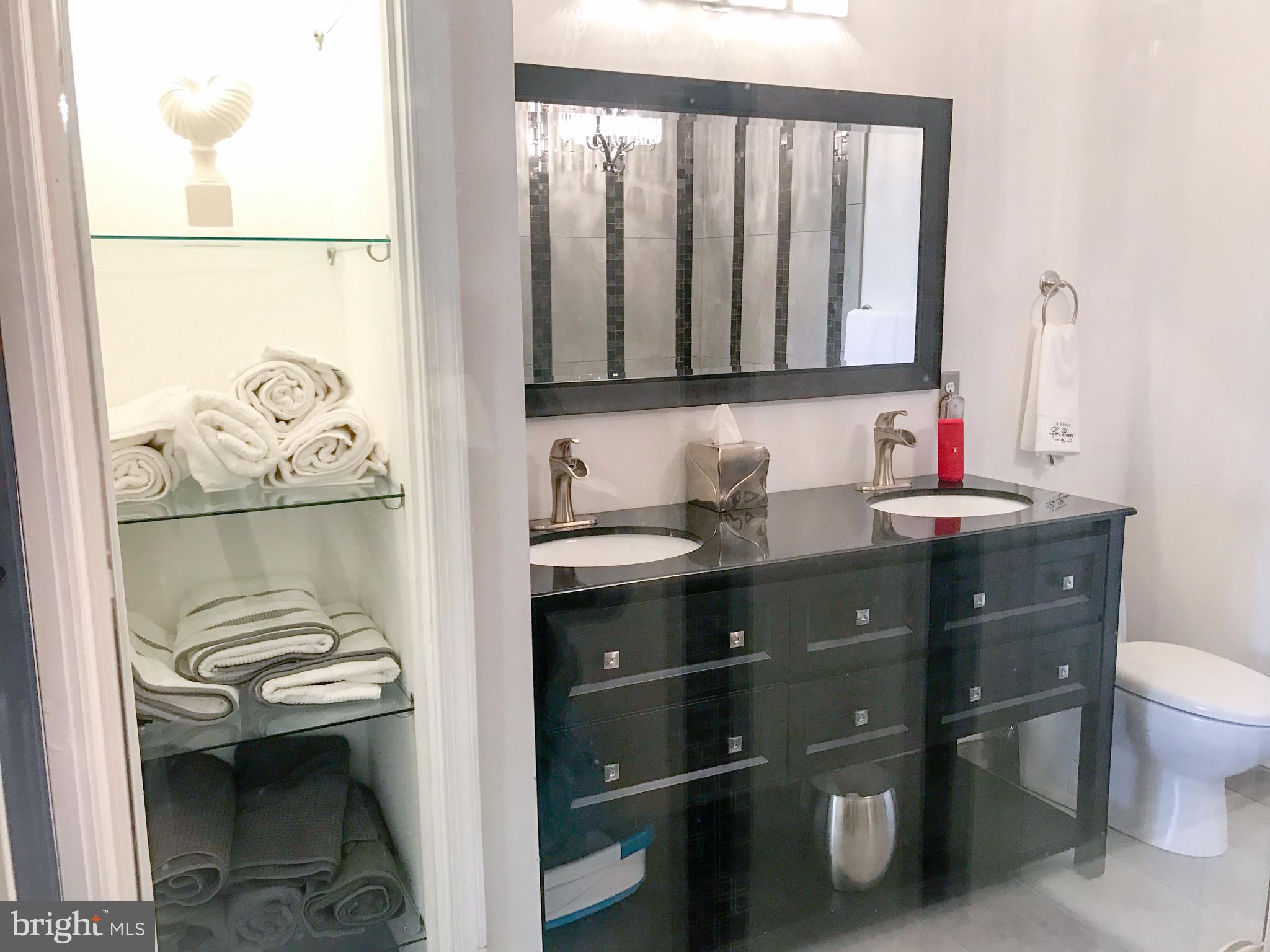 41 Hawk Rise Lane, Unit 202 Owings Mills, MD 21117 - Photo 22 of 33 a bathroom with a sink a toilet and mirror
