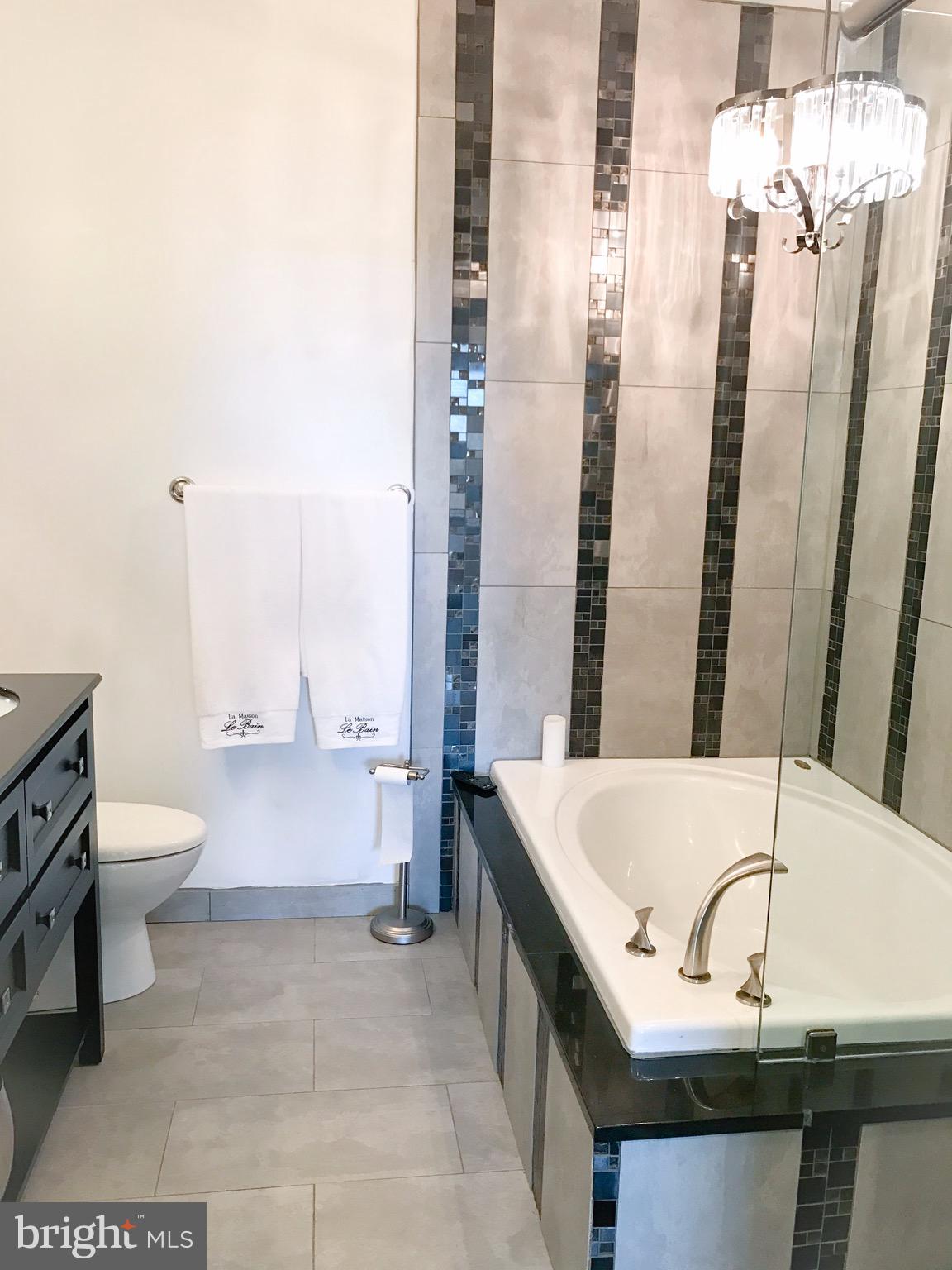 41 Hawk Rise Lane, Unit 202 Owings Mills, MD 21117 - Photo 23 of 33 a bathroom with a granite countertop bathtub and a toilet