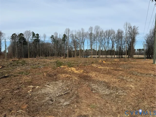 a view of dirt field with trees in background