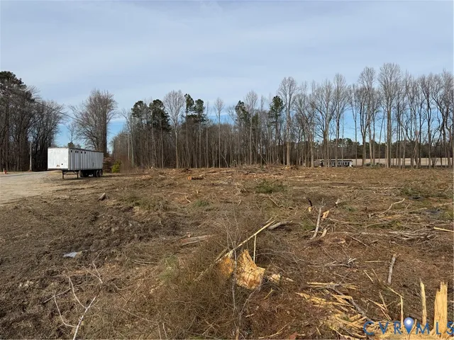 a view of a dry yard with trees