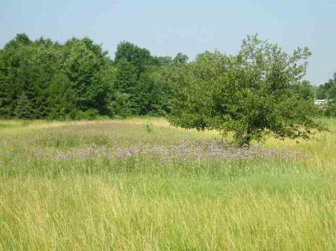 19500 Allen Road Trenton, MI 48183 - Photo 4 of 5 906799-3.JPG
