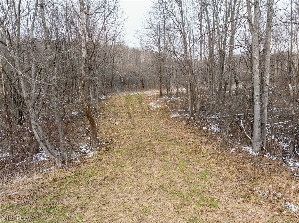 0 Raiders Road Frazeysburg, OH 43822 - Photo 14 of 22 View of woods