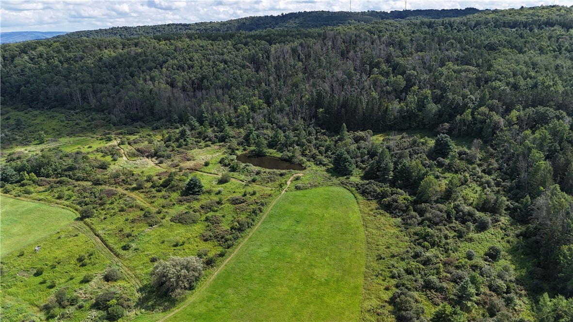 5709 Cemetery Hill Road Amity, NY 14813 - Photo 5 of 19 Stocked Pond and Fields with Trails