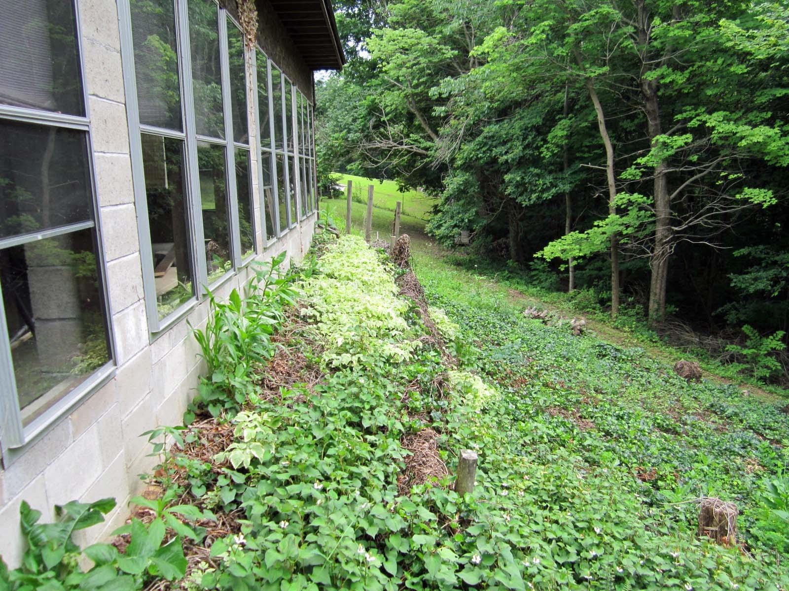 9401 Roley Road Sugar Grove, OH 43155 - Photo 29 of 37 Gallery Image 29