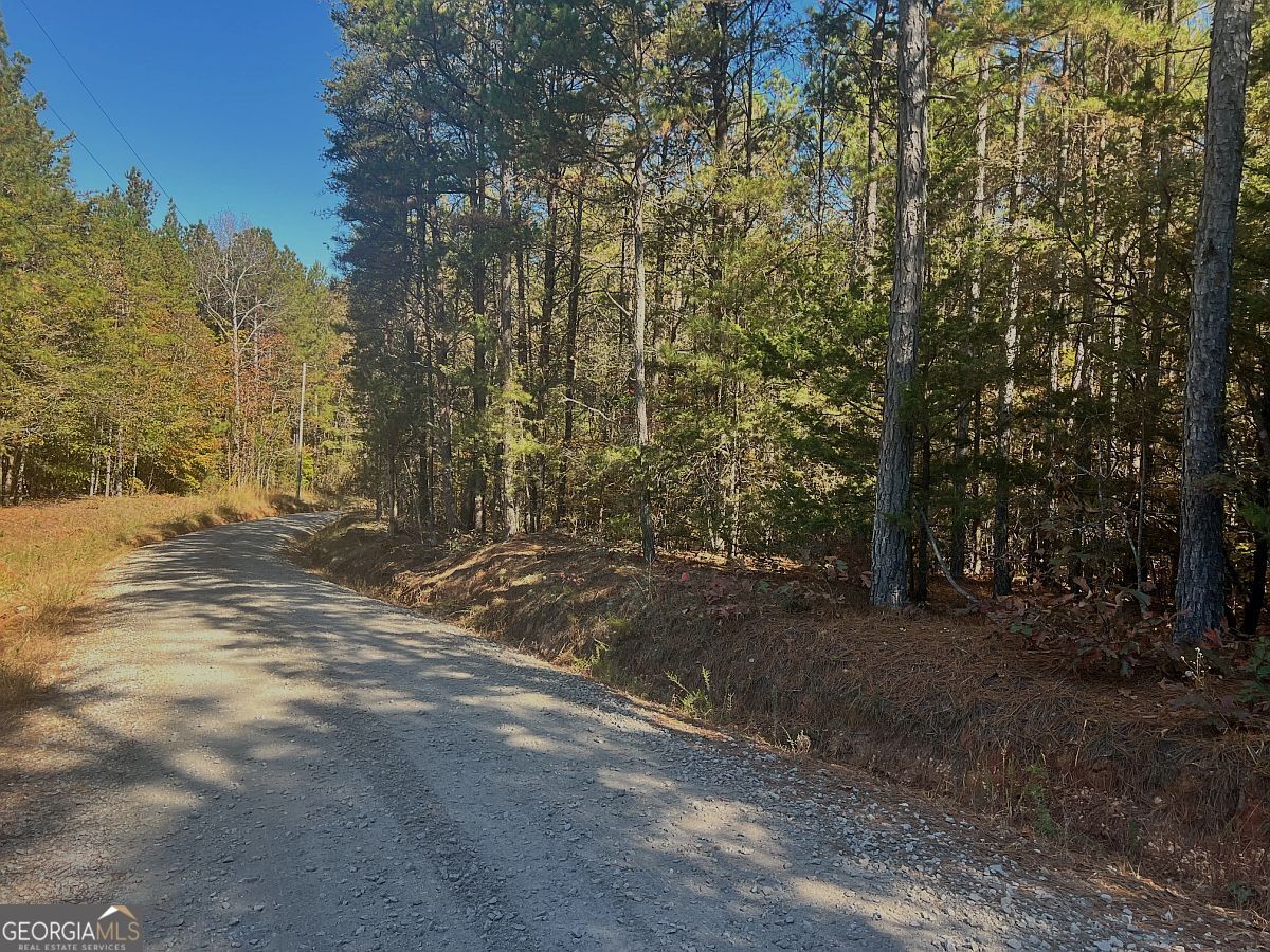 17.86-ac Pine Ridge Drive Elberton, GA 30635 - Photo 3 of 17 Gallery Image 3