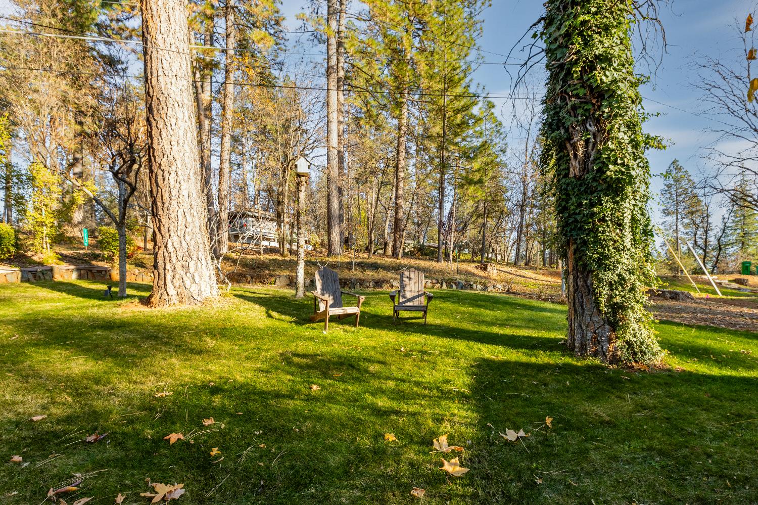12636 Nottingham Lane Grass Valley, CA 95949 - Photo 26 of 34 a view of yard with swimming pool