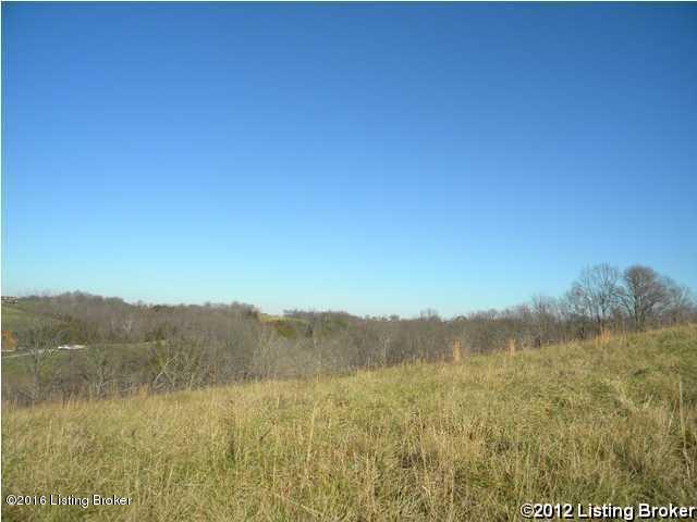 9485 Mt Eden Road Waddy, KY 40076 - Photo 1 of 5 Property