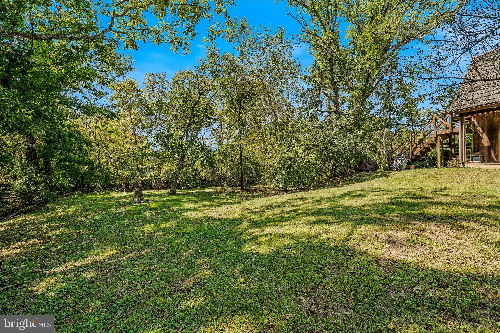 1646 Gerrardstown Road Gerrardstown, WV 25420 - Photo 27 of 53 Backyard