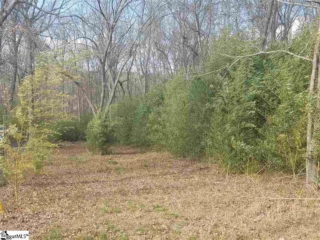 6 And Twenty Road, Unit TRACT C Pendleton, SC 29670 - Photo 2 of 28