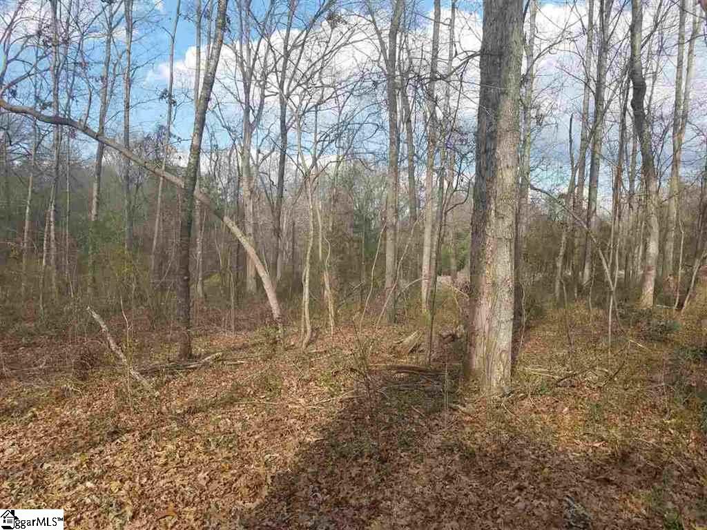 6 And Twenty Road, Unit TRACT C Pendleton, SC 29670 - Photo 11 of 28