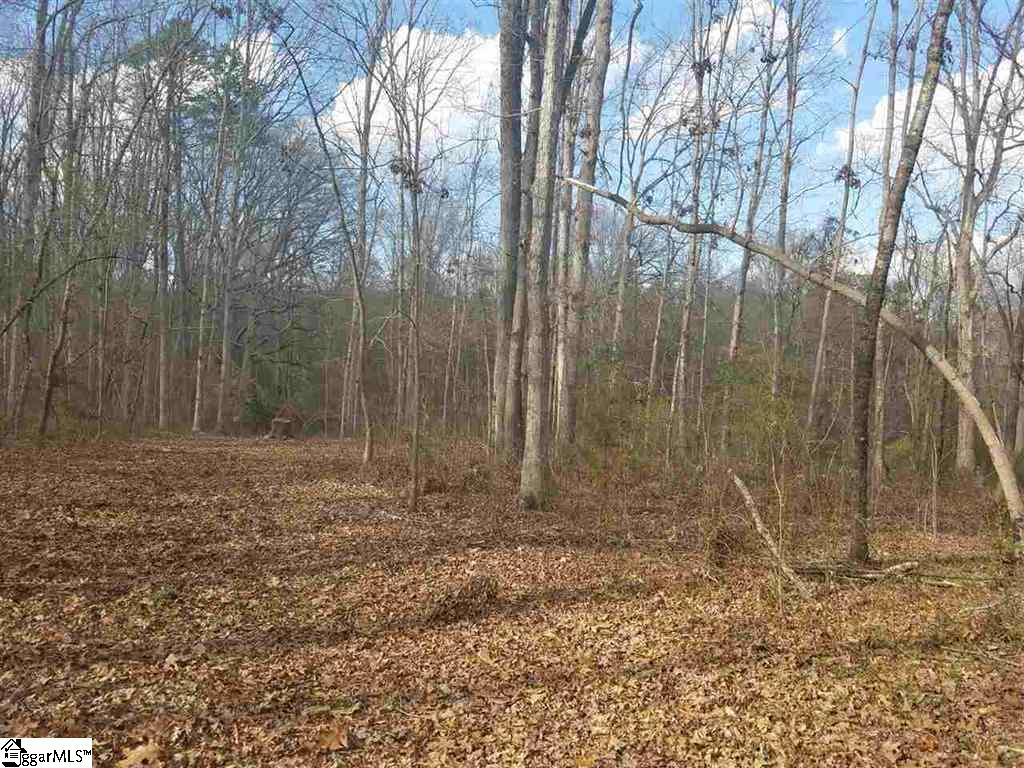 6 And Twenty Road, Unit TRACT C Pendleton, SC 29670 - Photo 12 of 28