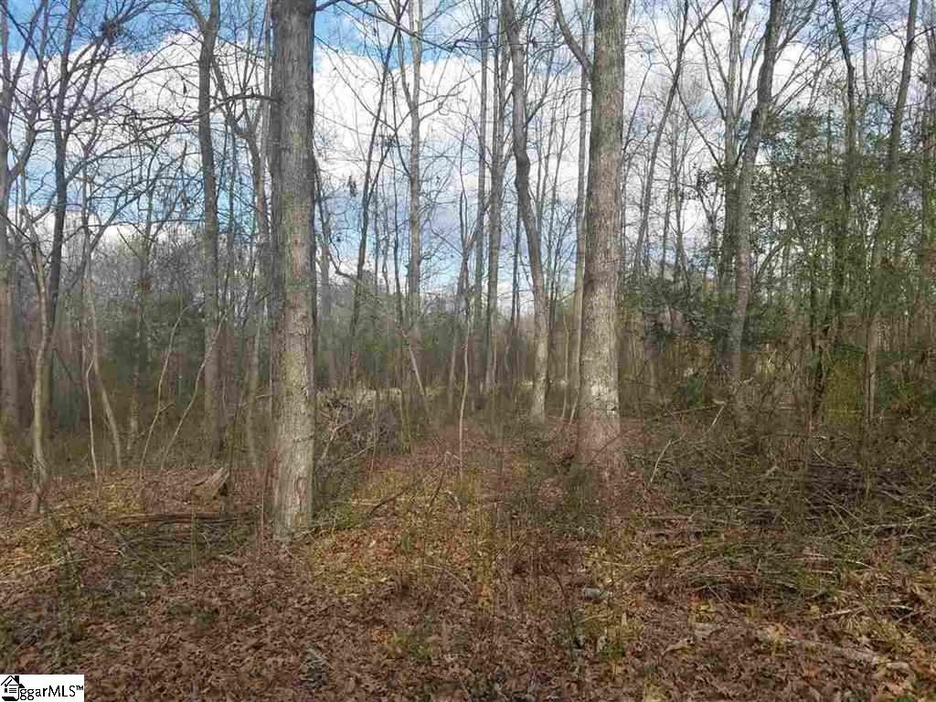 6 And Twenty Road, Unit TRACT C Pendleton, SC 29670 - Photo 13 of 28
