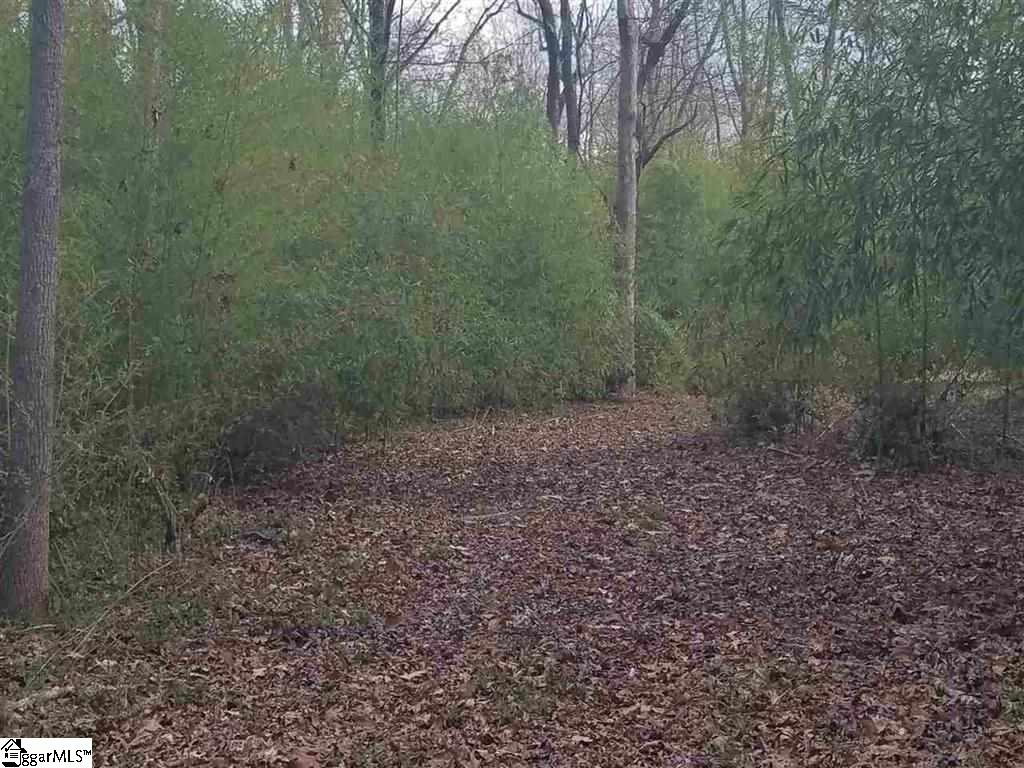 6 And Twenty Road, Unit TRACT C Pendleton, SC 29670 - Photo 14 of 28
