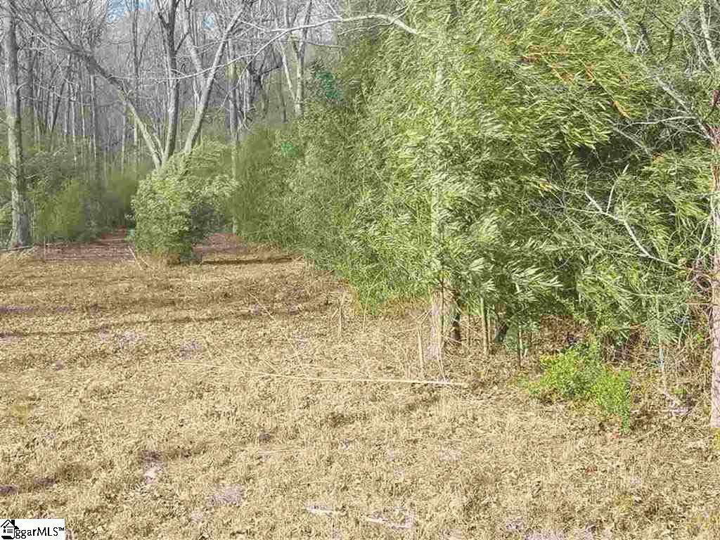 6 And Twenty Road, Unit TRACT C Pendleton, SC 29670 - Photo 15 of 28