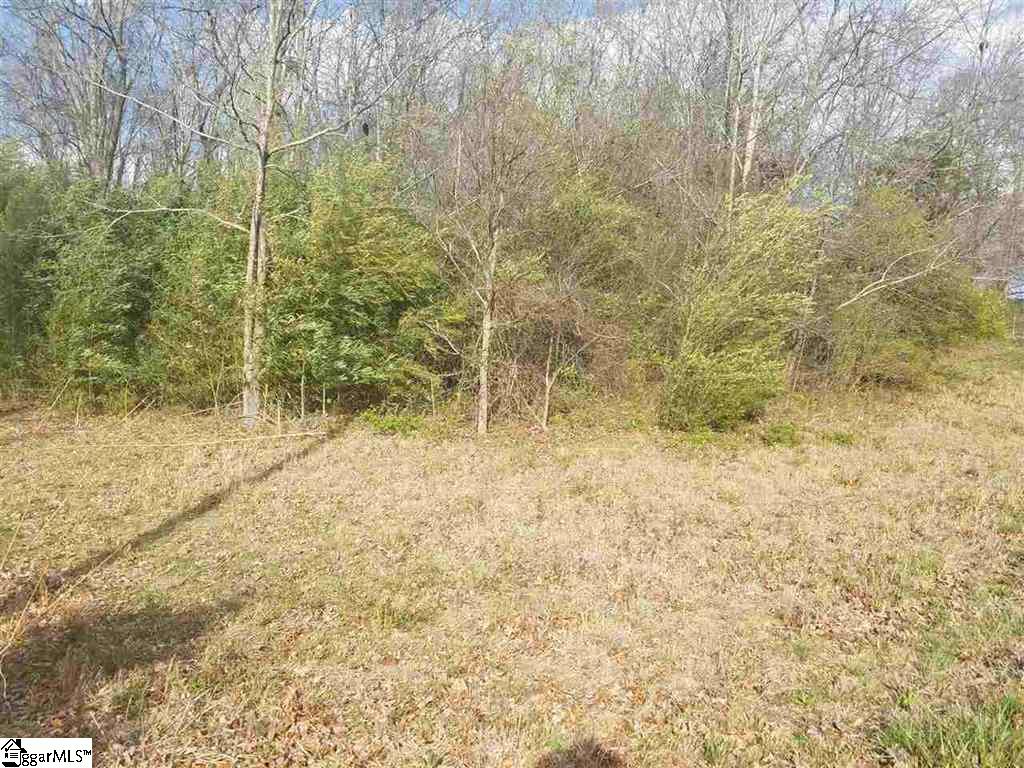 6 And Twenty Road, Unit TRACT C Pendleton, SC 29670 - Photo 16 of 28