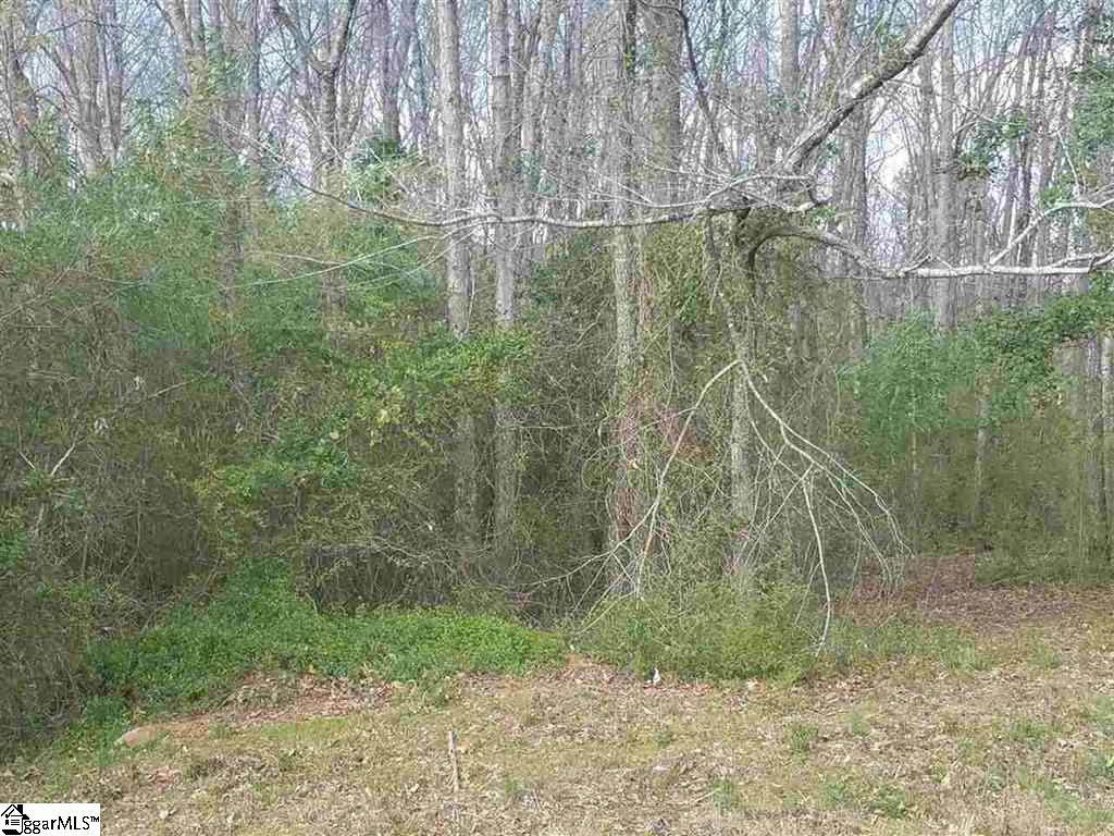 6 And Twenty Road, Unit TRACT C Pendleton, SC 29670 - Photo 17 of 28