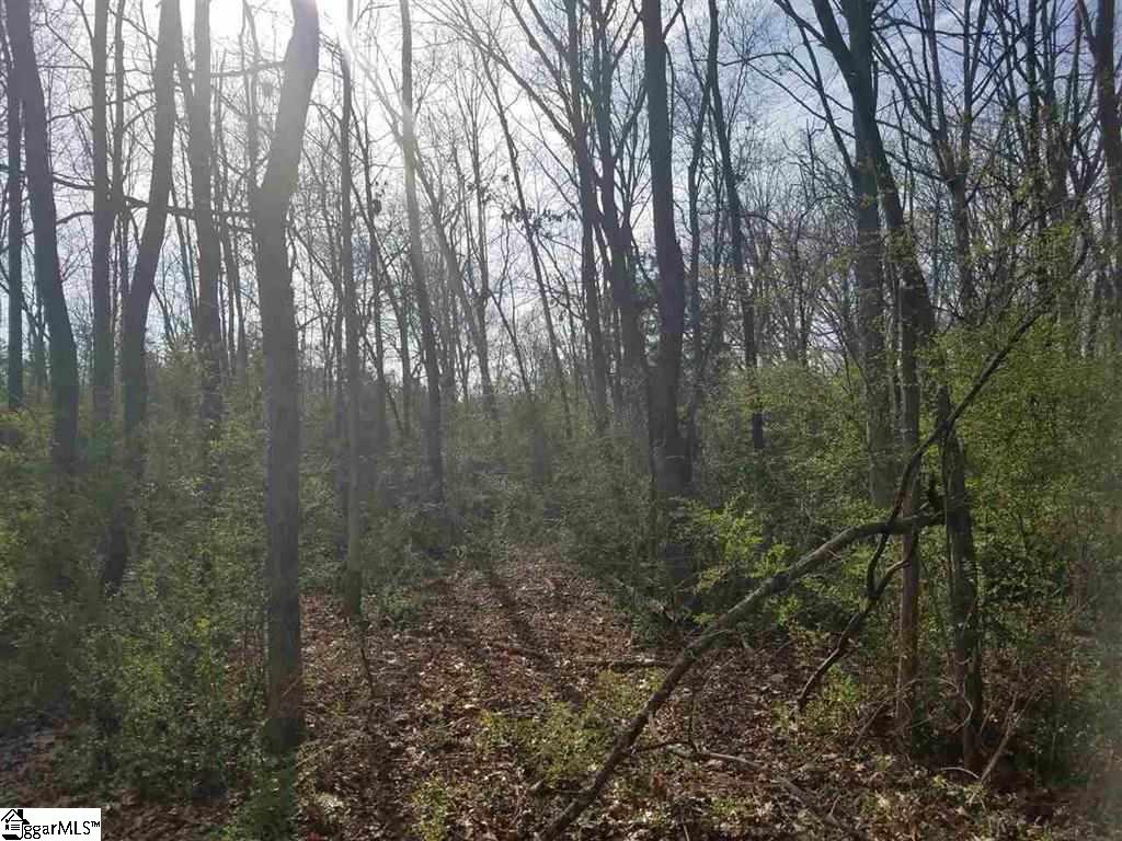 6 And Twenty Road, Unit TRACT C Pendleton, SC 29670 - Photo 18 of 28