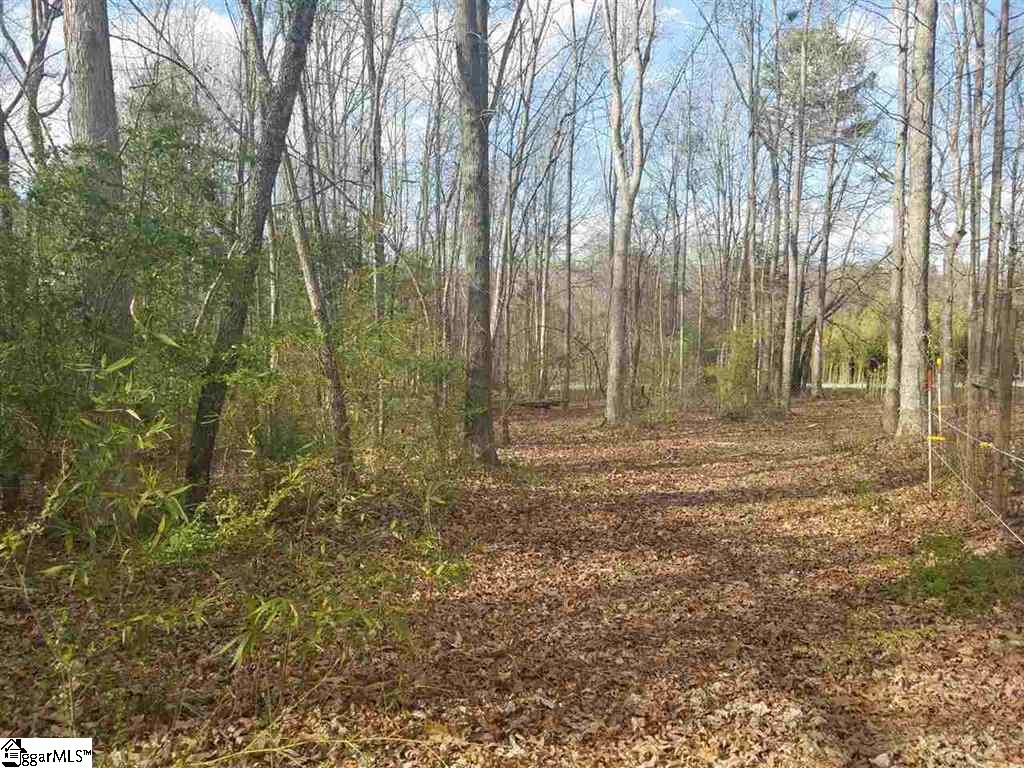 6 And Twenty Road, Unit TRACT C Pendleton, SC 29670 - Photo 19 of 28