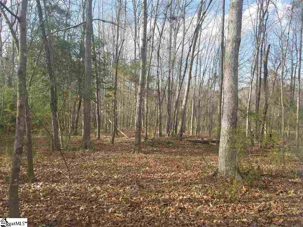 6 And Twenty Road, Unit TRACT C Pendleton, SC 29670 - Photo 20 of 28