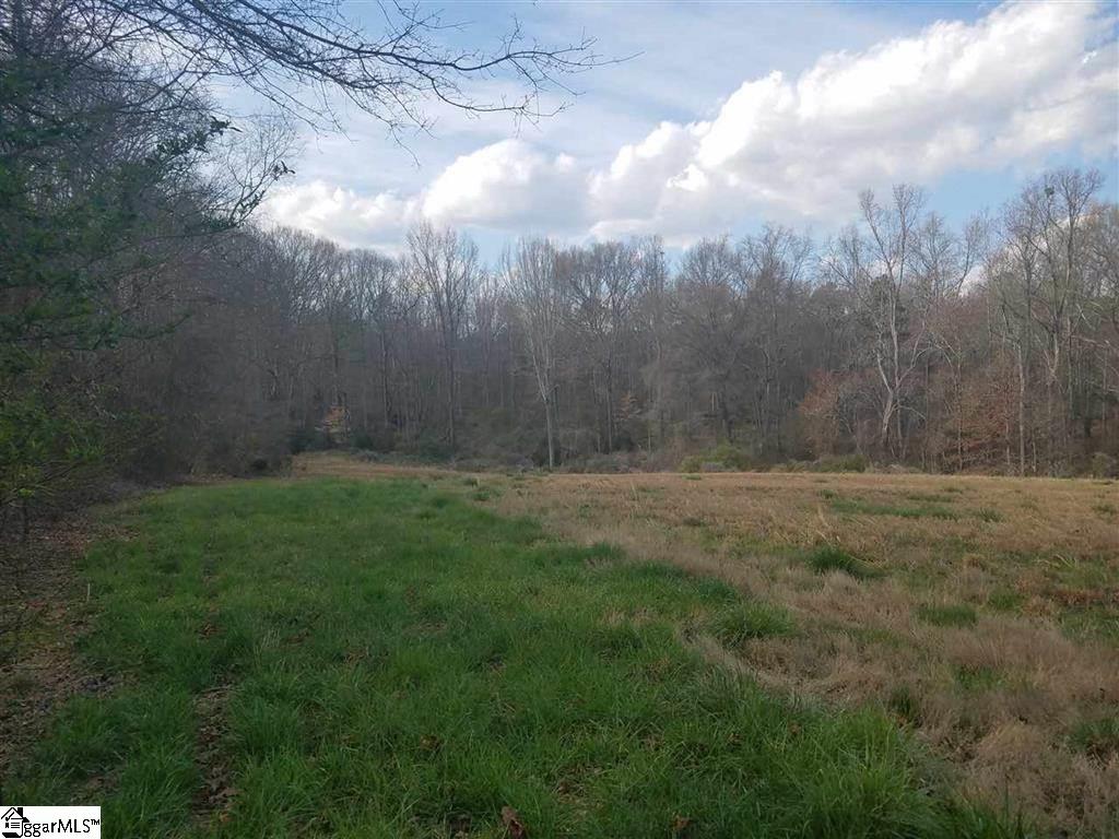 6 And Twenty Road, Unit TRACT C Pendleton, SC 29670 - Photo 3 of 28