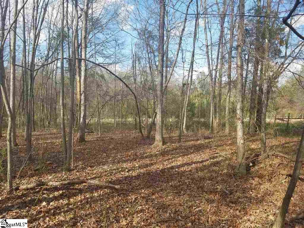 6 And Twenty Road, Unit TRACT C Pendleton, SC 29670 - Photo 21 of 28