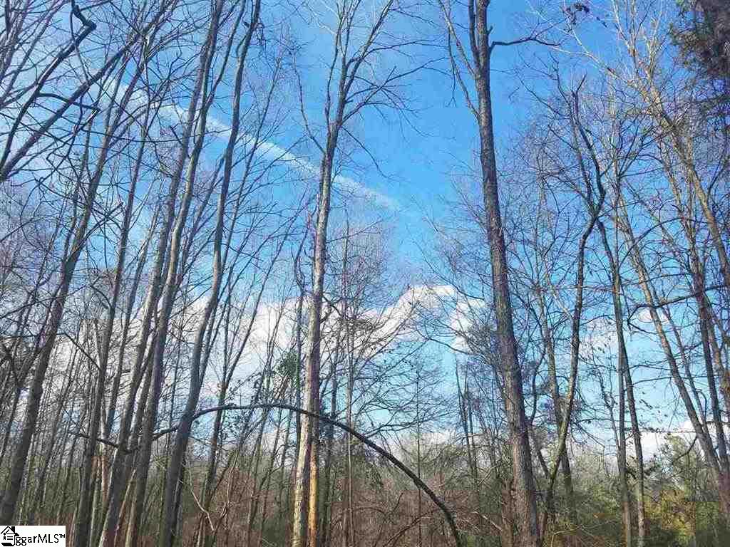 6 And Twenty Road, Unit TRACT C Pendleton, SC 29670 - Photo 22 of 28