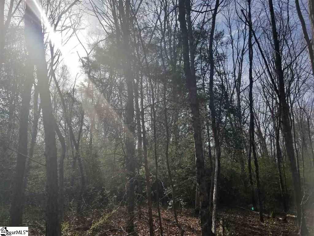 6 And Twenty Road, Unit TRACT C Pendleton, SC 29670 - Photo 23 of 28