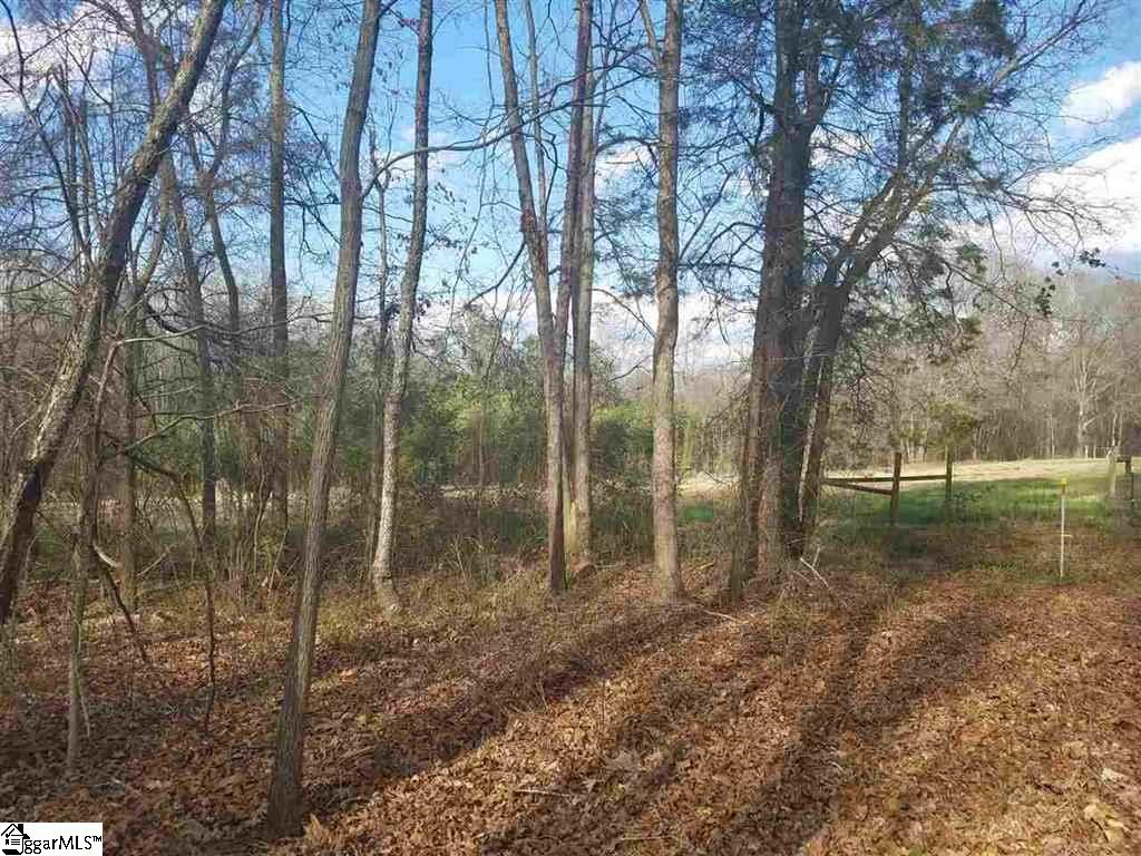 6 And Twenty Road, Unit TRACT C Pendleton, SC 29670 - Photo 24 of 28