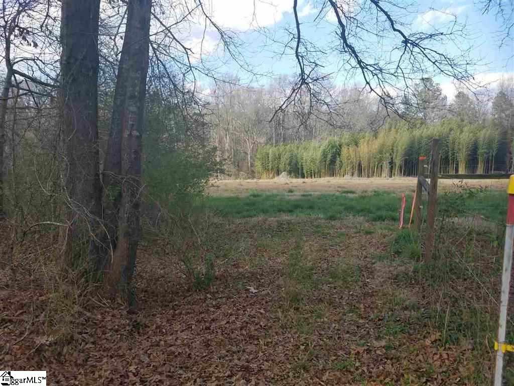 6 And Twenty Road, Unit TRACT C Pendleton, SC 29670 - Photo 25 of 28