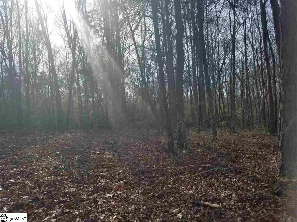 6 And Twenty Road, Unit TRACT C Pendleton, SC 29670 - Photo 26 of 28