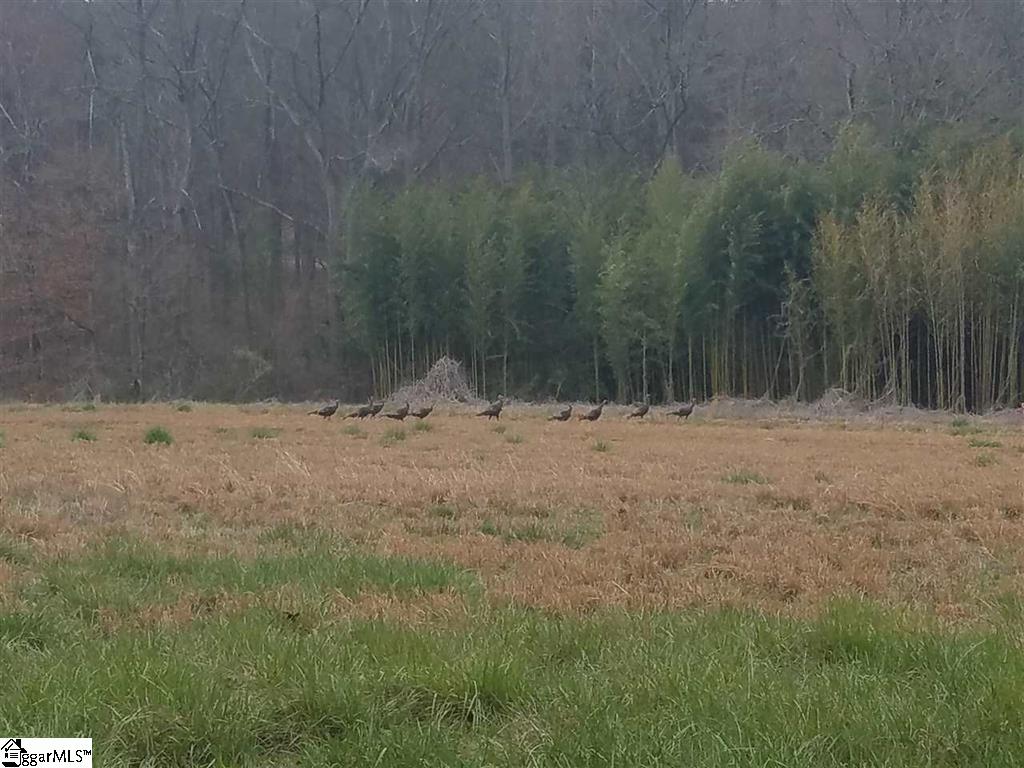 6 And Twenty Road, Unit TRACT C Pendleton, SC 29670 - Photo 4 of 28