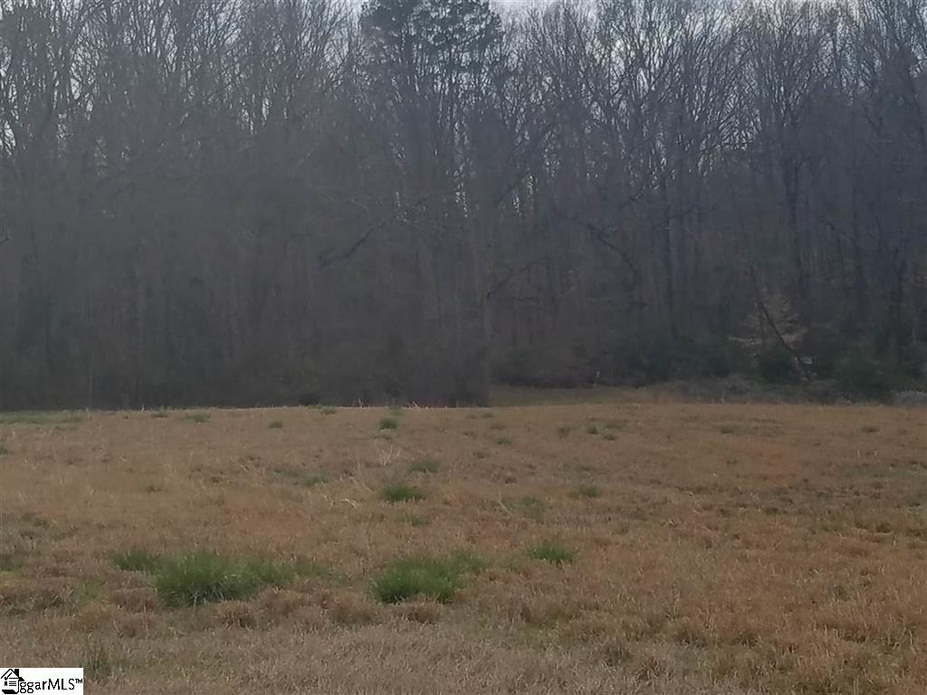 6 And Twenty Road, Unit TRACT C Pendleton, SC 29670 - Photo 6 of 28