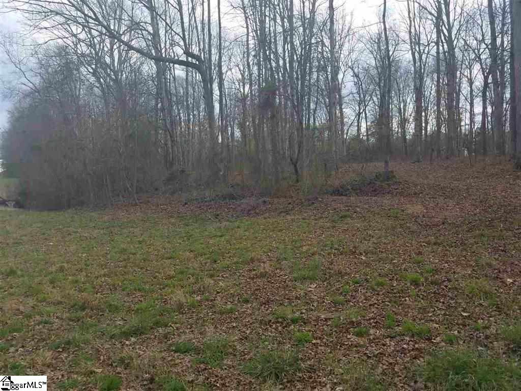 6 And Twenty Road, Unit TRACT C Pendleton, SC 29670 - Photo 7 of 28