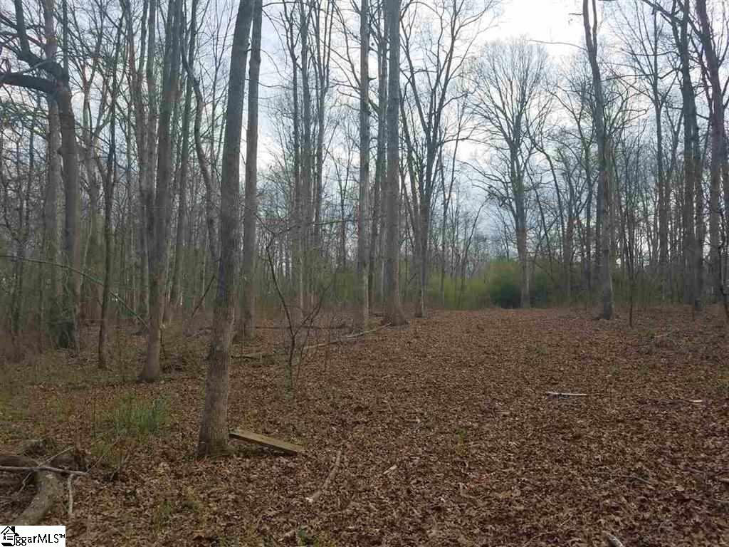 6 And Twenty Road, Unit TRACT C Pendleton, SC 29670 - Photo 8 of 28
