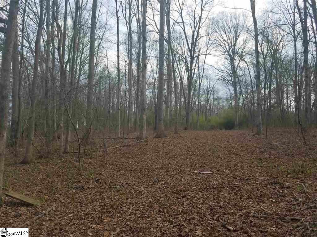 6 And Twenty Road, Unit TRACT C Pendleton, SC 29670 - Photo 9 of 28