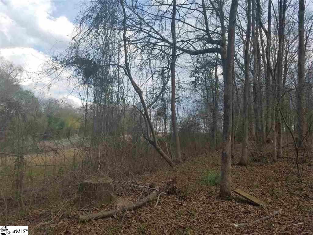 6 And Twenty Road, Unit TRACT C Pendleton, SC 29670 - Photo 10 of 28