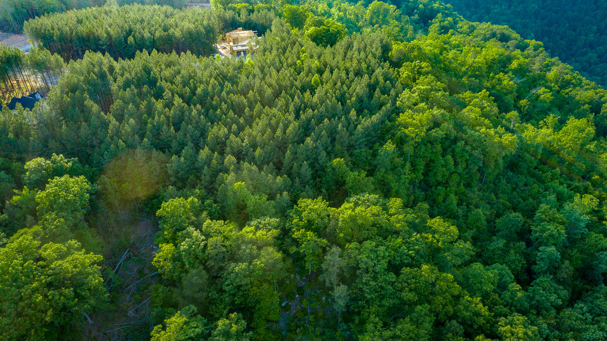 0 Back Basin Trail, Unit LOT 1244 Chattanooga, TN 37419 - Photo 63 of 119 0 Back Basin Trail - Lot 1244 HD-22