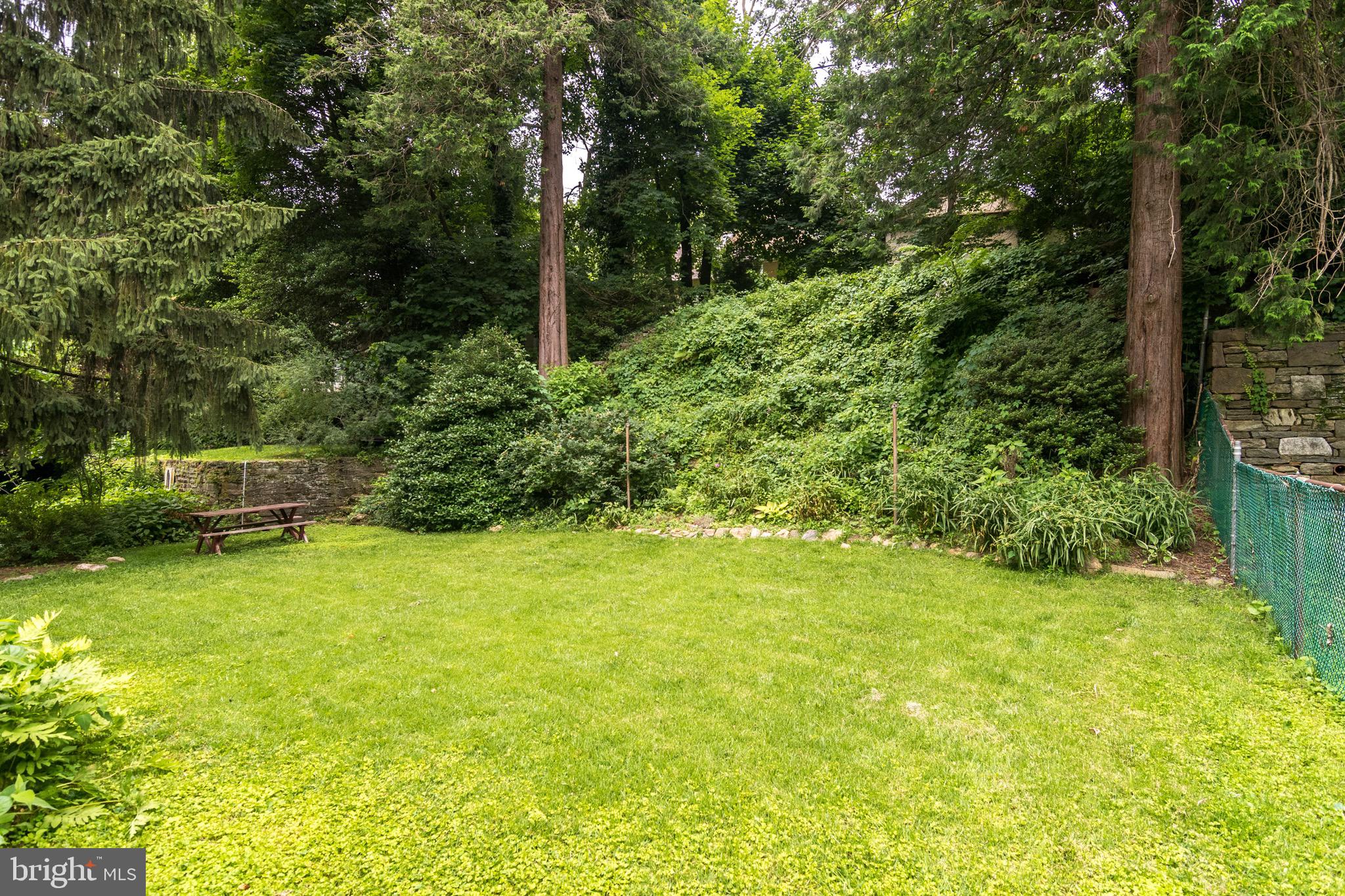 215 Mather Road Jenkintown, PA 19046 - Photo 52 of 57 Back Yard