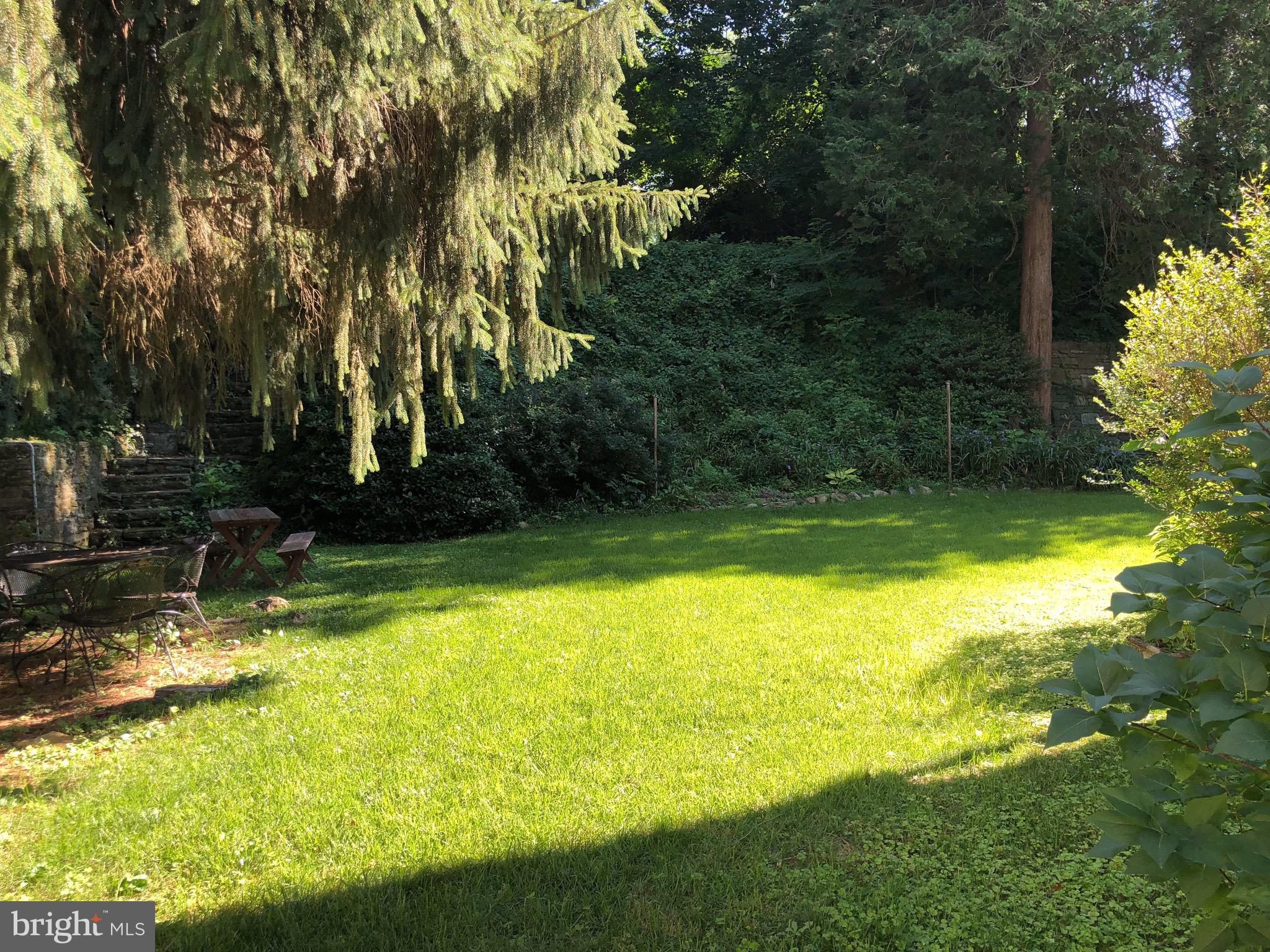 215 Mather Road Jenkintown, PA 19046 - Photo 57 of 57 Back Yard