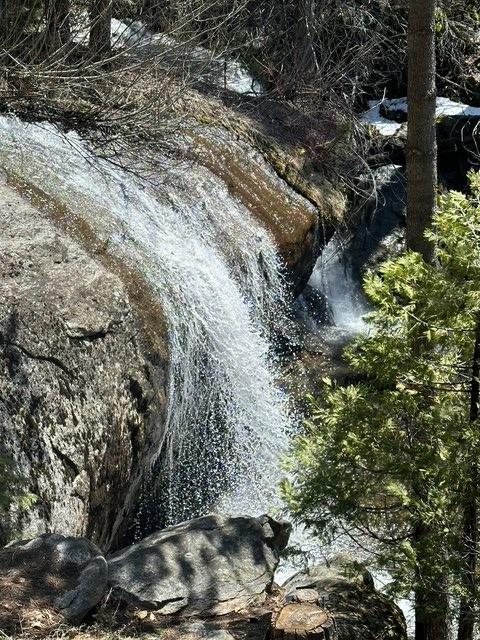 39553 Crest Point Lane Shaver Lake, CA 93664 - Photo 51 of 65 a view of outdoor space