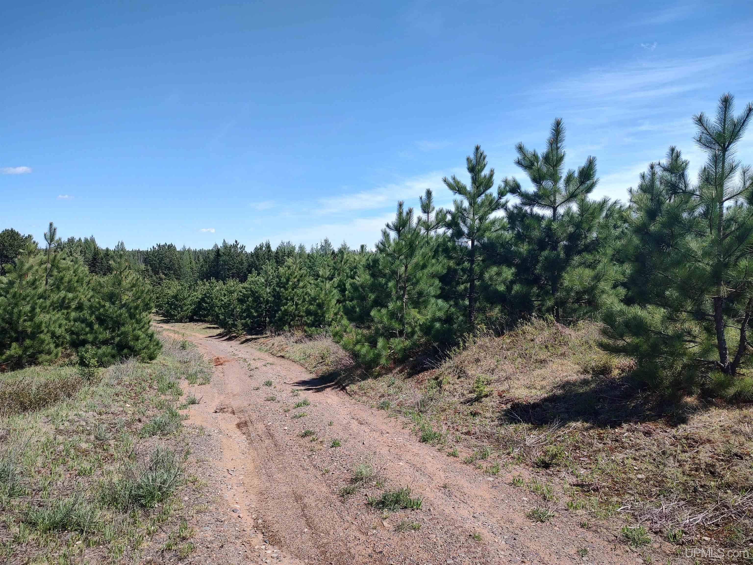 58-acres Co Rd Fn Road Champion, MI 49814 - Photo 16 of 27