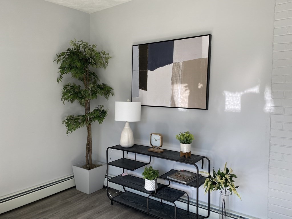 82 Griffin Road Framingham, MA 01701 - Photo 16 of 39 a living room with furniture and a potted plant