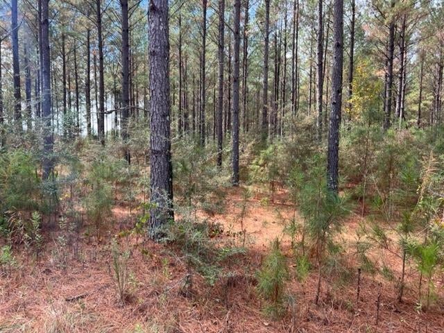 29277 Holmes Langford Road Opp, AL 36467 - Photo 15 of 41 Gallery Image 15