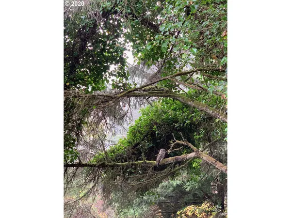 $69,000 | 2900 Southwest Anchor Avenue, Lincoln City, OR 97367