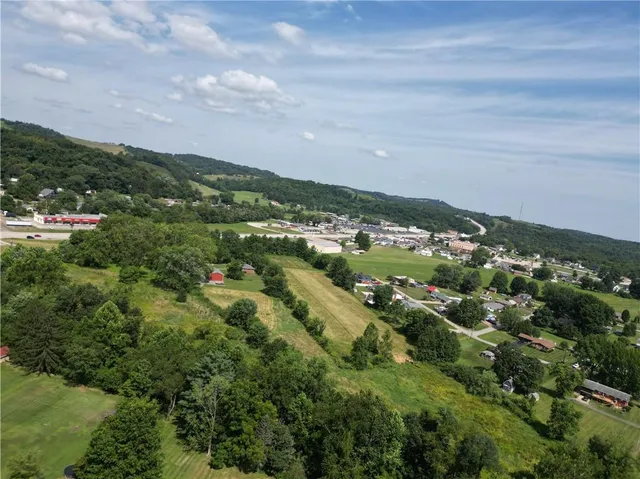 a view of green field with tree in the background